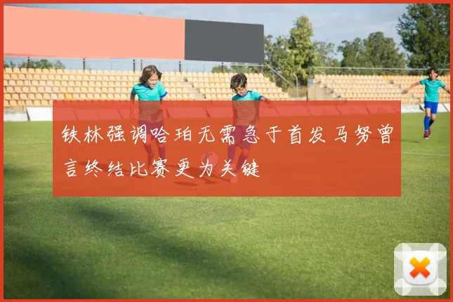 铁林强调哈珀无需急于首发马努曾言终结比赛更为关键